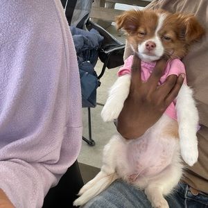 Meet your Posher, Brianna